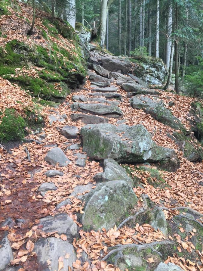 Apartman “U Nas V Podkrovi“ V Rezidenci Klostermann, Zelezna Ruda 24 Eksteriør billede