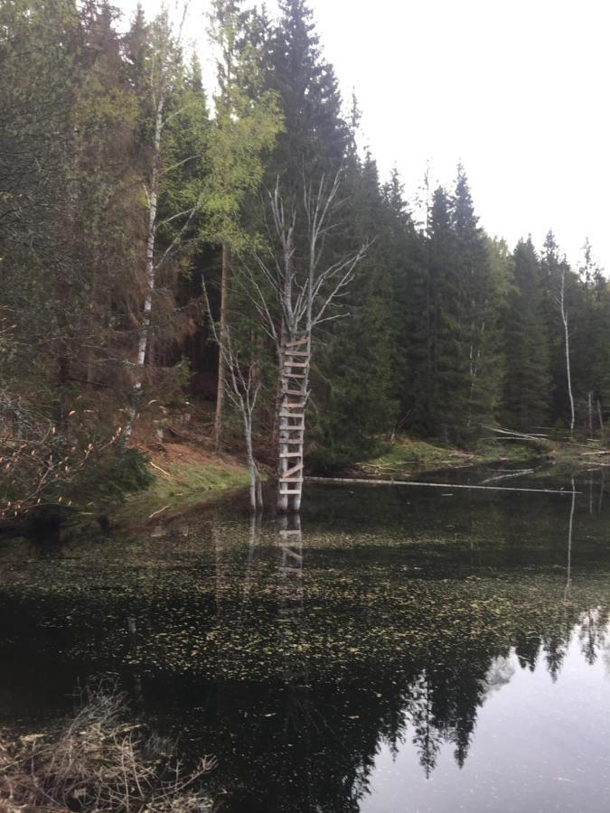 Apartman “U Nas V Podkrovi“ V Rezidenci Klostermann, Zelezna Ruda 24 Eksteriør billede