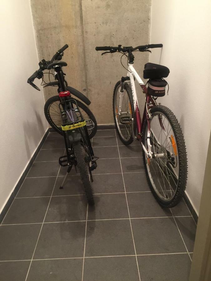 Apartman “U Nas V Podkrovi“ V Rezidenci Klostermann, Zelezna Ruda 24 Eksteriør billede
